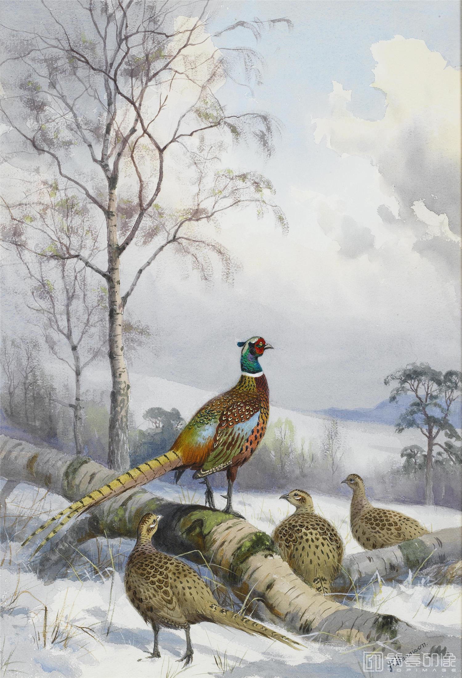 油画-约翰.赛里尔·哈里森 John Harrison作品集-104
